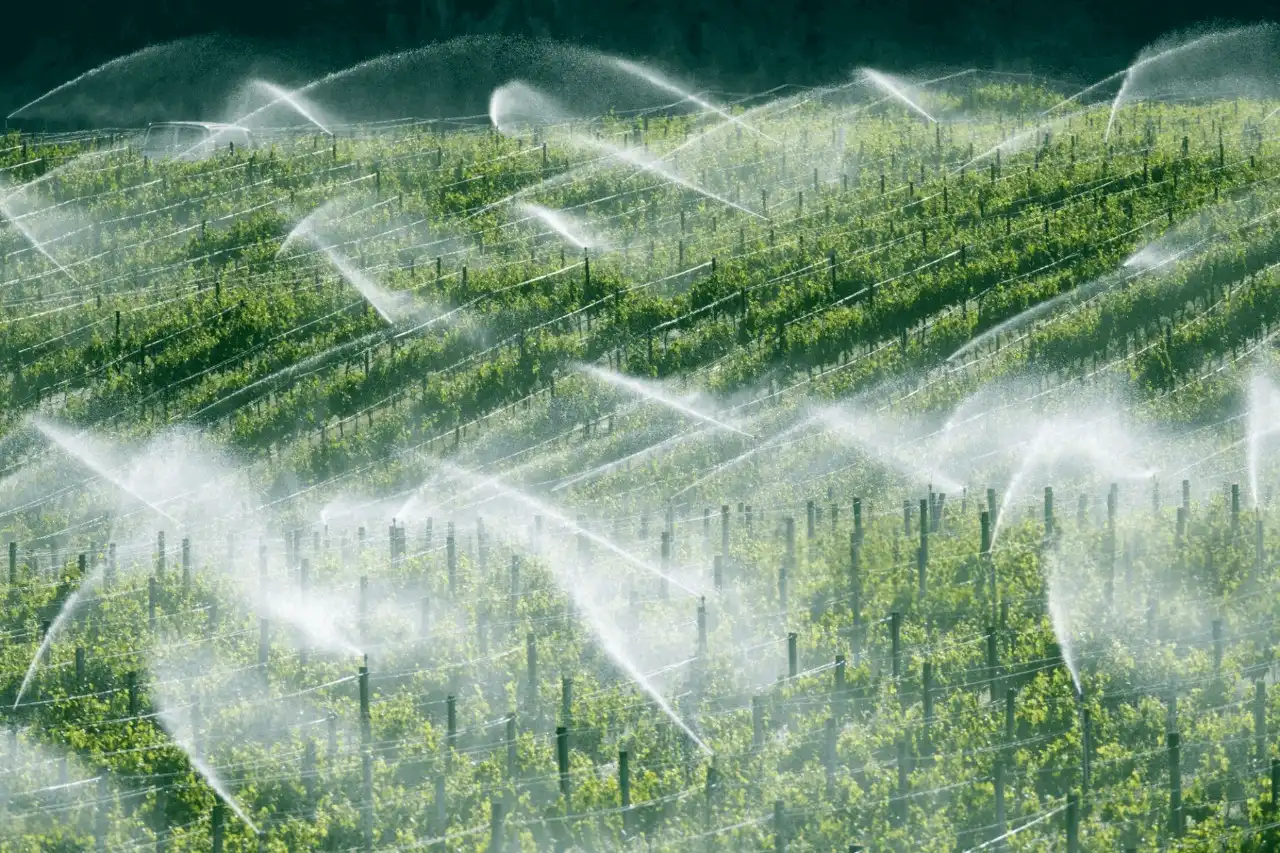 Systèmes d’Irrigation